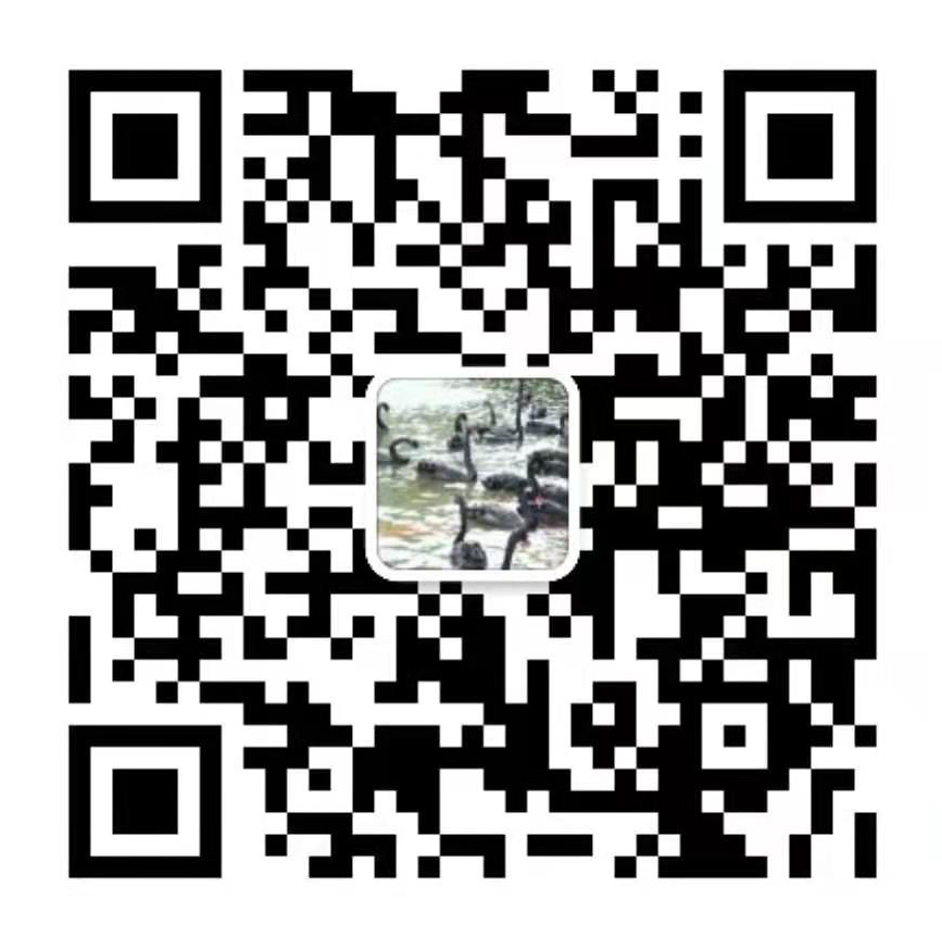 the qr code