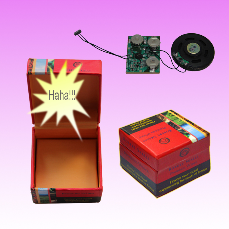 Talking box with magnetic switch.jpg